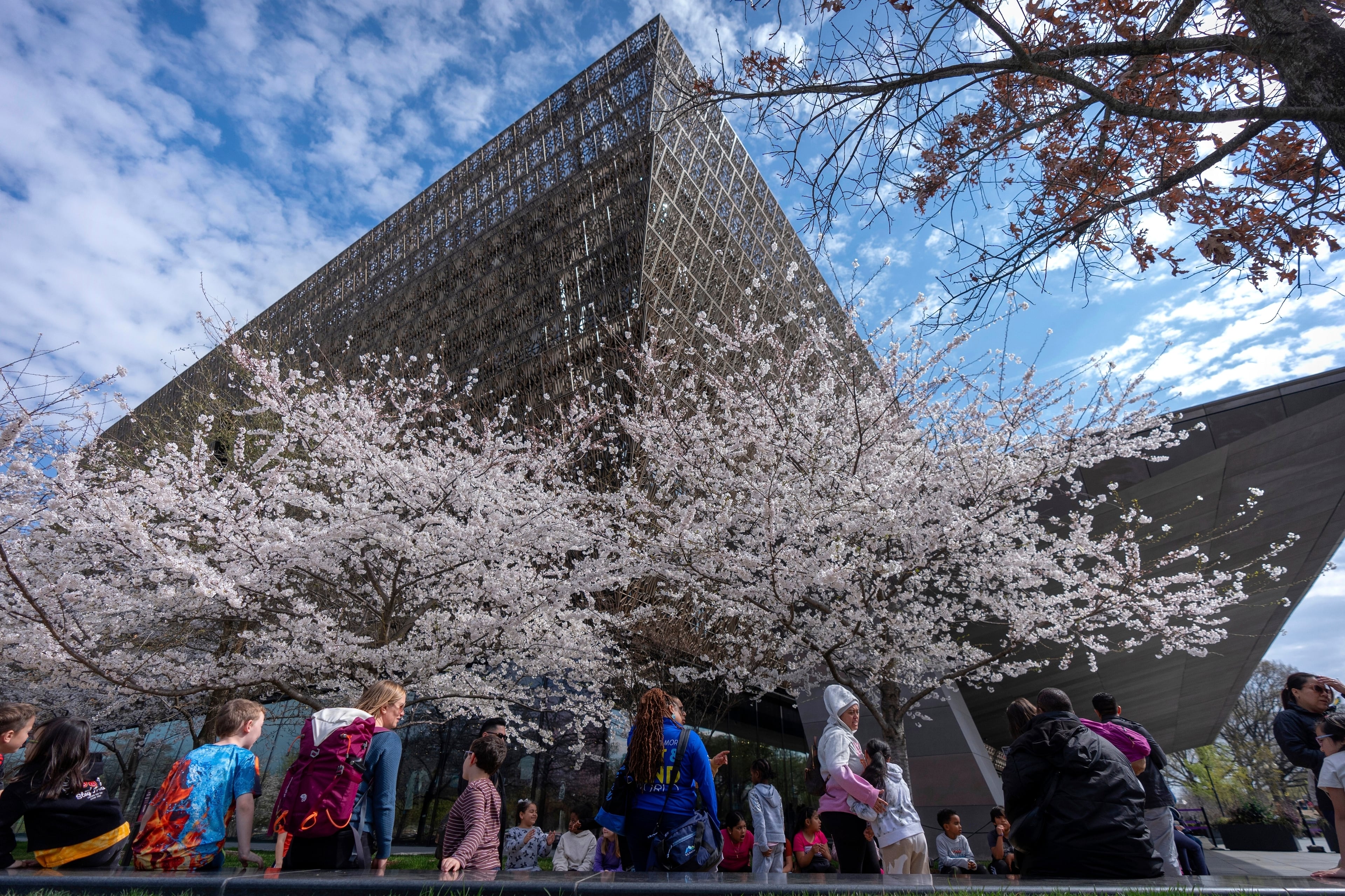 FILE - The National Museum of African American History and Culture on the National Mall is seen on Friday, March 28, 2025, in Washington. (AP Photo/Mark Schiefelbein, File)